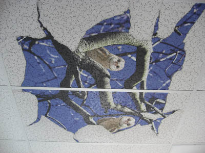 Custom printed ceiling tile celing tile flatbed printing