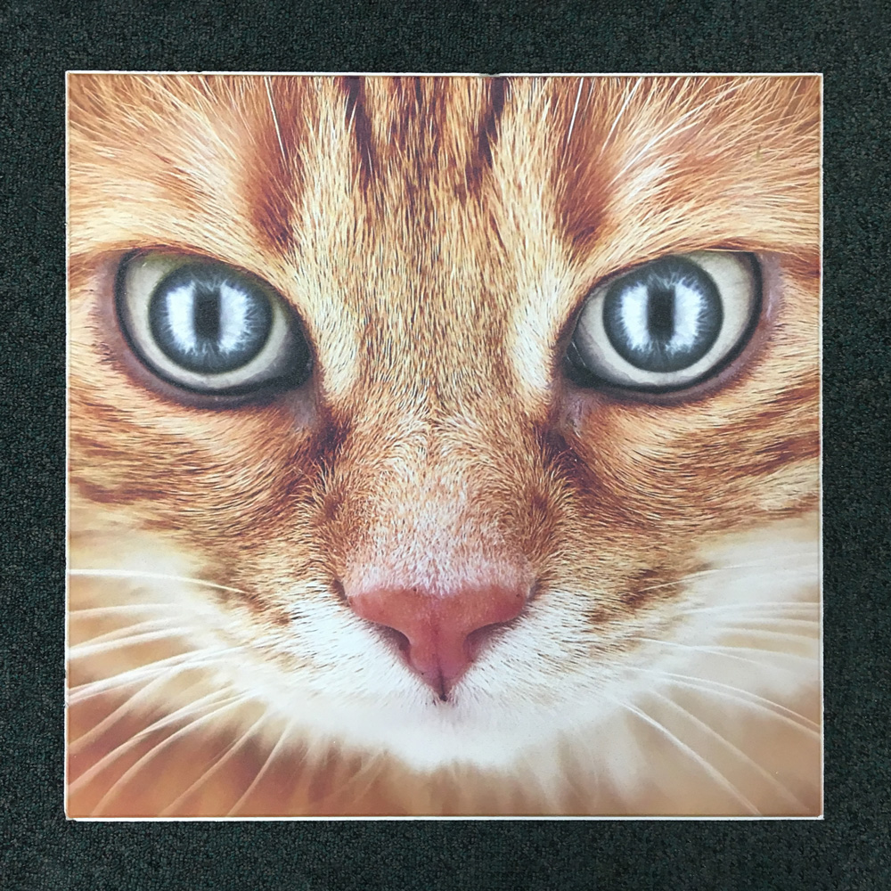 ceiling tiles